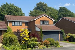 Front- click for photo gallery